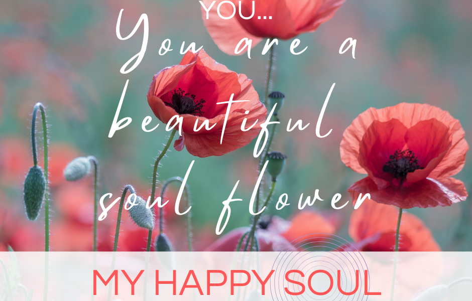 You are a beautiful soul flower MY HAPPY SOUL